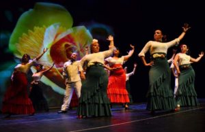 Flamenco